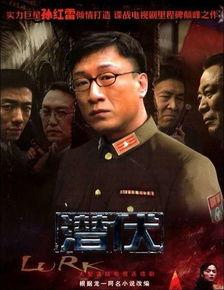 潜伏电影 在线观看,揭秘暗战风云，在线观看惊心动魄