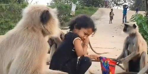 网友爆料瘦猴子视频大全,瘦猴子视频大全，揭秘动物界的瘦身达人  第2张