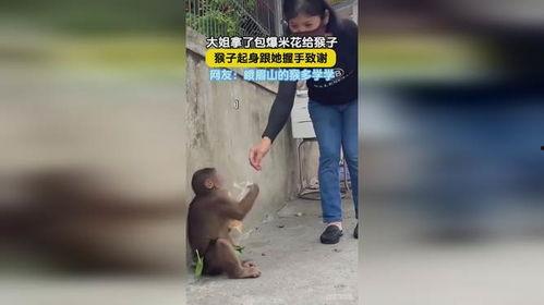 网友爆料瘦猴子视频大全,瘦猴子视频大全，揭秘动物界的瘦身达人  第3张